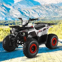 125CC-Sports-Quad-Bike