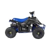 GMX 110cc Ripper-X Junior Kids Quad Bike – Black / Blue