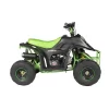 GMX 70cc Ripper-X Junior Kids Quad Bike – Black / Green