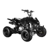 GMX 110cc The Beast Sports Quad Bike – Black