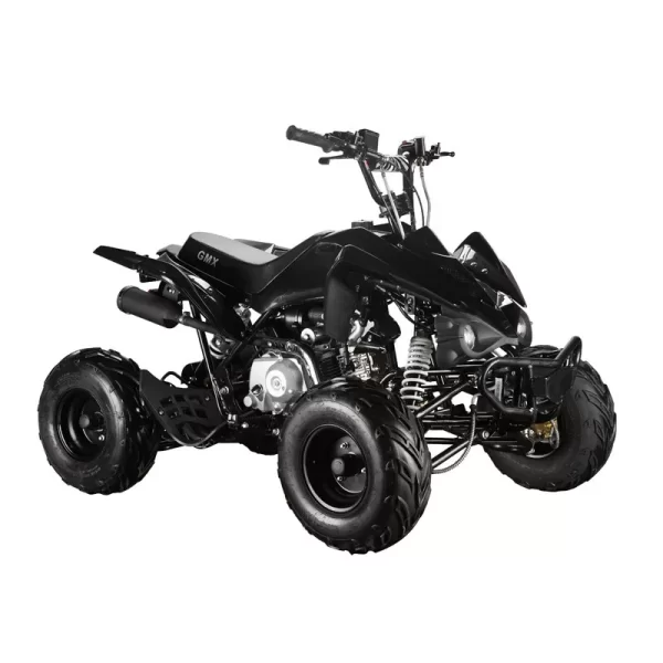 GMX 110cc The Beast Sports Quad Bike - Black