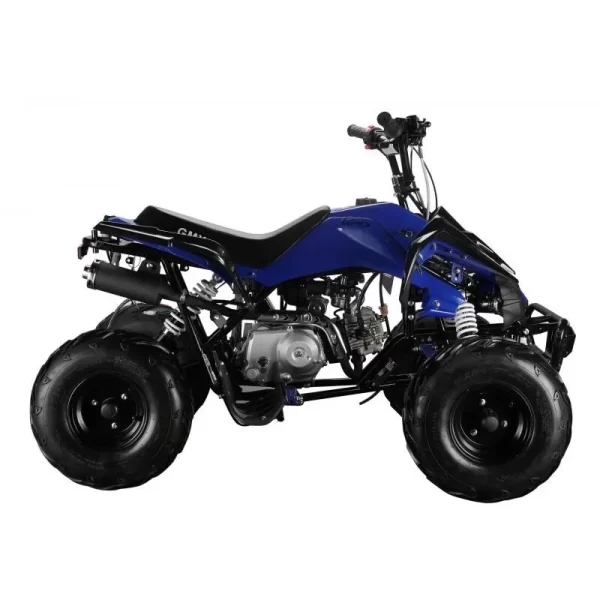 GMX 110cc The Beast Sports Quad Bike – Blue