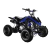 GMX 110cc The Beast Sports Quad Bike - Blue