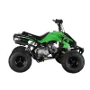 GMX 110cc The Beast Sports Quad Bike – Green