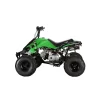 GMX 110cc The Beast Sports Quad Bike – Green