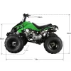 GMX 110cc The Beast Sports Quad Bike – Green