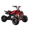 GMX 110cc The Beast Sports Quad Bike - Red