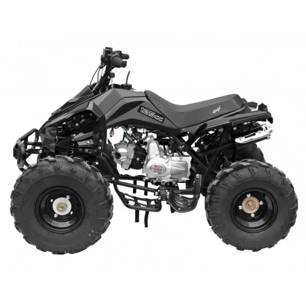 GMX 125cc The Beast Sports Quad Bike – Black