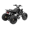 GMX 125cc The Beast Sports Quad Bike – Black