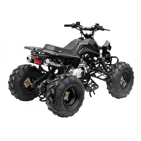 GMX 125cc The Beast Sports Quad Bike – Black