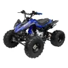 GMX 125cc The Beast Sports Quad Bike – Blue