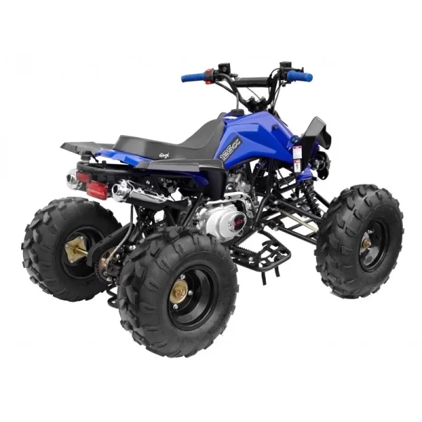 GMX 125cc The Beast Sports Quad Bike – Blue