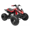 GMX 125cc The Beast Sports Quad Bike - Red