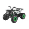 GMX 125cc Hunter Farm Quad Bike – Green