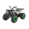 GMX 125cc Hunter Farm Quad Bike – Green